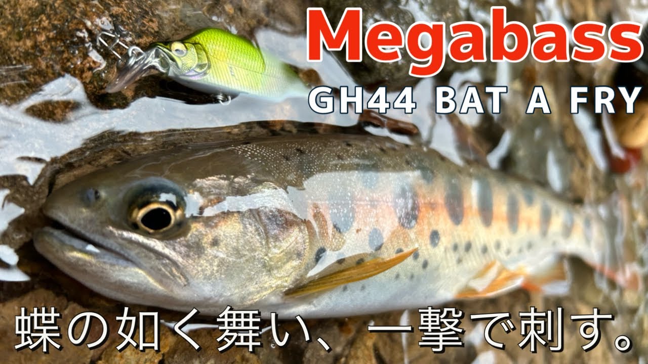 釣り】メガバス新作ルアー GREATHUNTING「バタフライ」😁 大分県2024