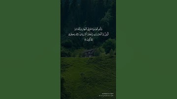(ولا تركنوا إلى الذين ظلموا فتمسكم النار) تلاوة مرتلة للشيخ المنشاوي رحمه الله من سورة هود