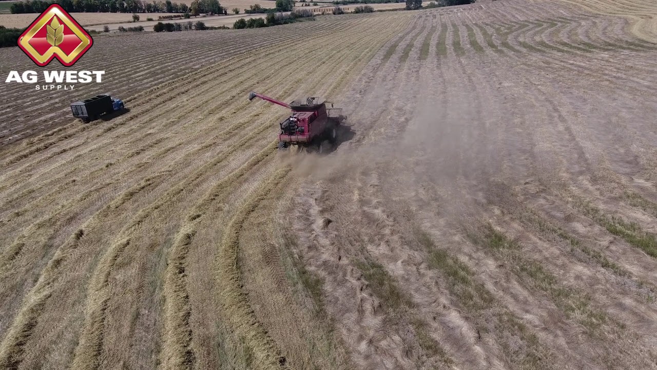 Ag West Supply, Case IH 6150, Rickreall, Oregon. YouTube