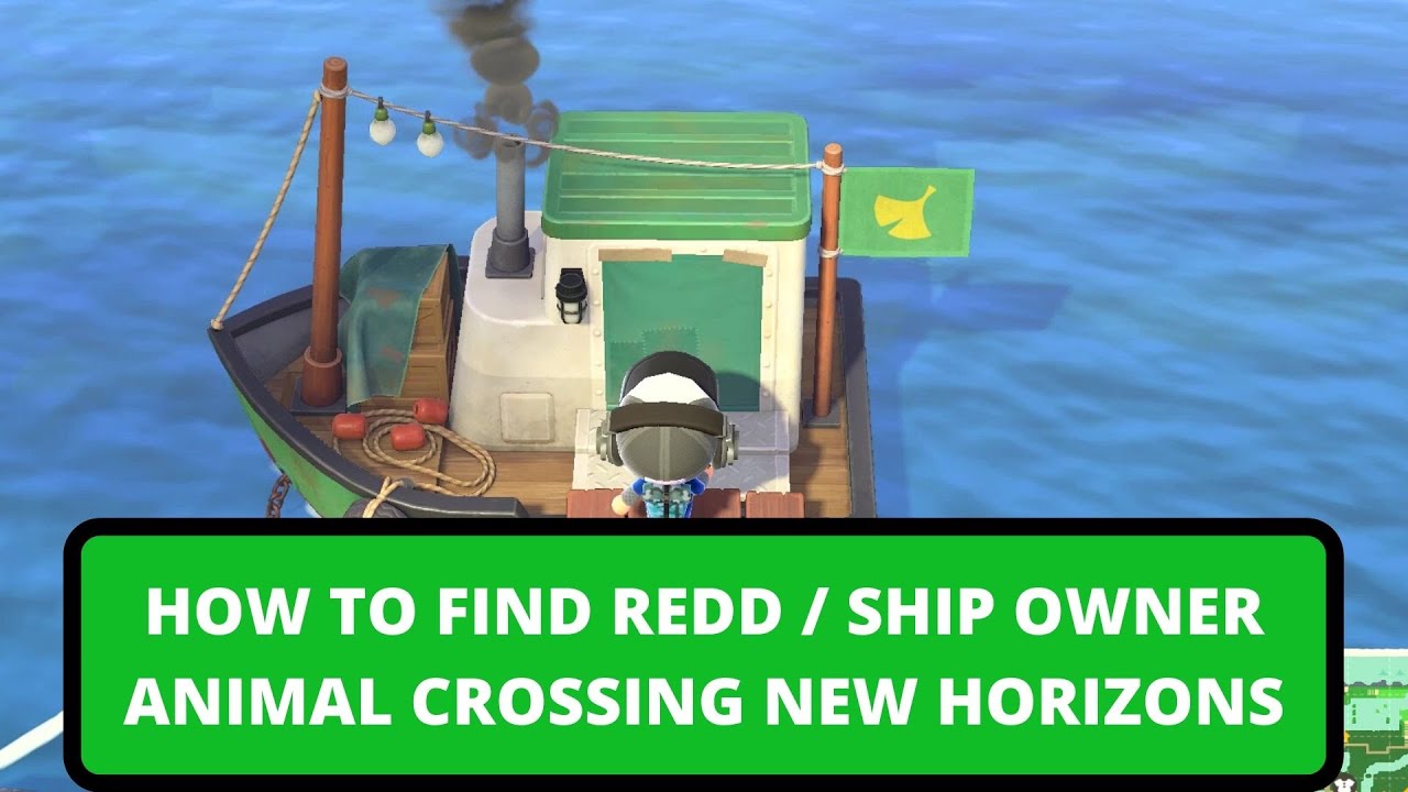 How To Find Ship Owner Redd Unlock Art Room In Museum Animal