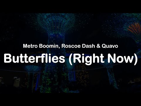 Metro Boomin, Roscoe Dash & Quavo - Butterflies (Right Now) (Clean Lyrics)