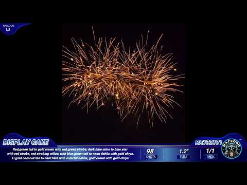 1.2″ video preview