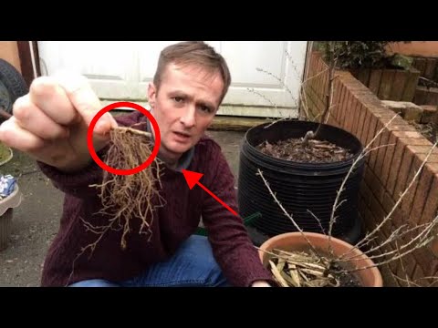 Propagating