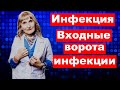 постулат # 190 инфекция,входные ворота инфекции