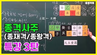 [특강] 235강 종격사주 3탄: 한쪽으로 기운이 쏠린 종격사주