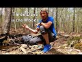 A Walk in the Woods - Hammock Camping the Old Loggers Path