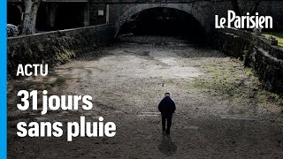 «Il faudrait qu'il pleuve tout le temps jusqu'à fin mars» : 31 jours sans pluie, craintes pour l'été