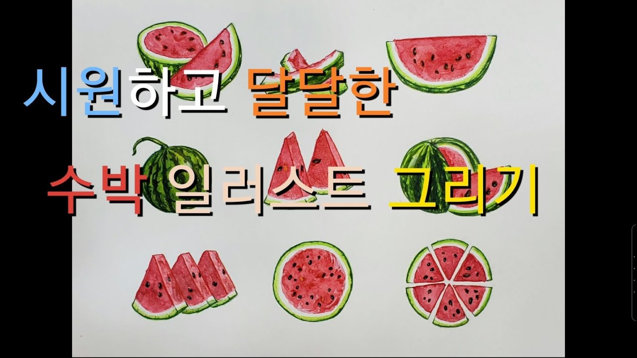 초보자도 해볼만한 시원하고 달달한 수박일러스트그리기/How to paint watermelon illustrations/그림