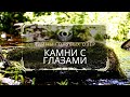 Камни с глазами. Тайны Голубых озёр