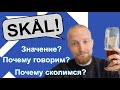 Что значит норвежское слово &quot;skål&quot;?