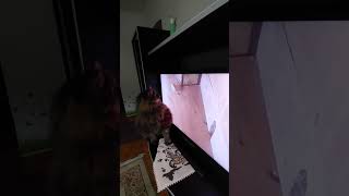 Fluffy cat watching TV and catching virtual mice by anadebergerac 138 views 1 year ago 2 minutes, 44 seconds