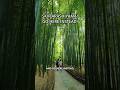 Skip Arashiyama in Kyoto!