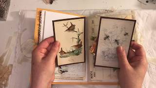 Vintage junk Journal Butterflies, Bees, Birds and bugs