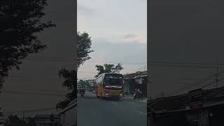 basuri sandpaper janetes #basuri #shorts #sandpaper #janetes