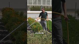 State-of-the-Art Geothermal Greenhouse Tour