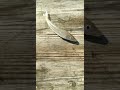 Советы по работе в Израиле  Морская рыбалка  Для работы в Израиле обращайтесь в WA +972559662178