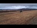 Traditional Horse Racing Dundee July 19 07 2025 Traditional Horse Racing Dundee July 19 07 2025