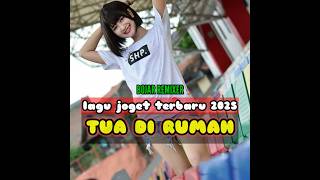 LAGU JOGET TERBARU 2025 💃 TUA DI RUMAH MUDAH DI JALAN
