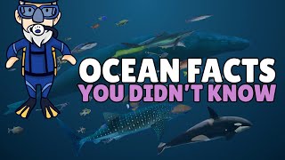 Ocean Facts for Kids | Facts About Ocean Pollution