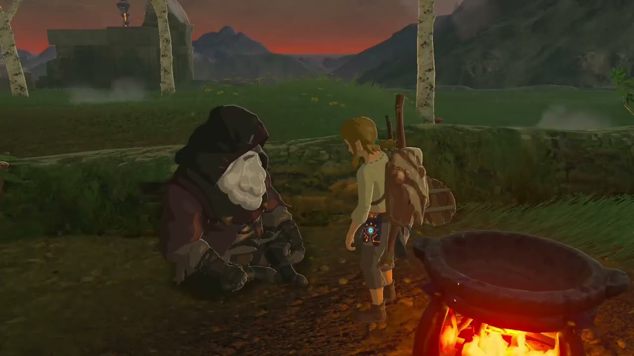 The Legend of Zelda: Breath of the Wild (nintendo switch) Collection #4