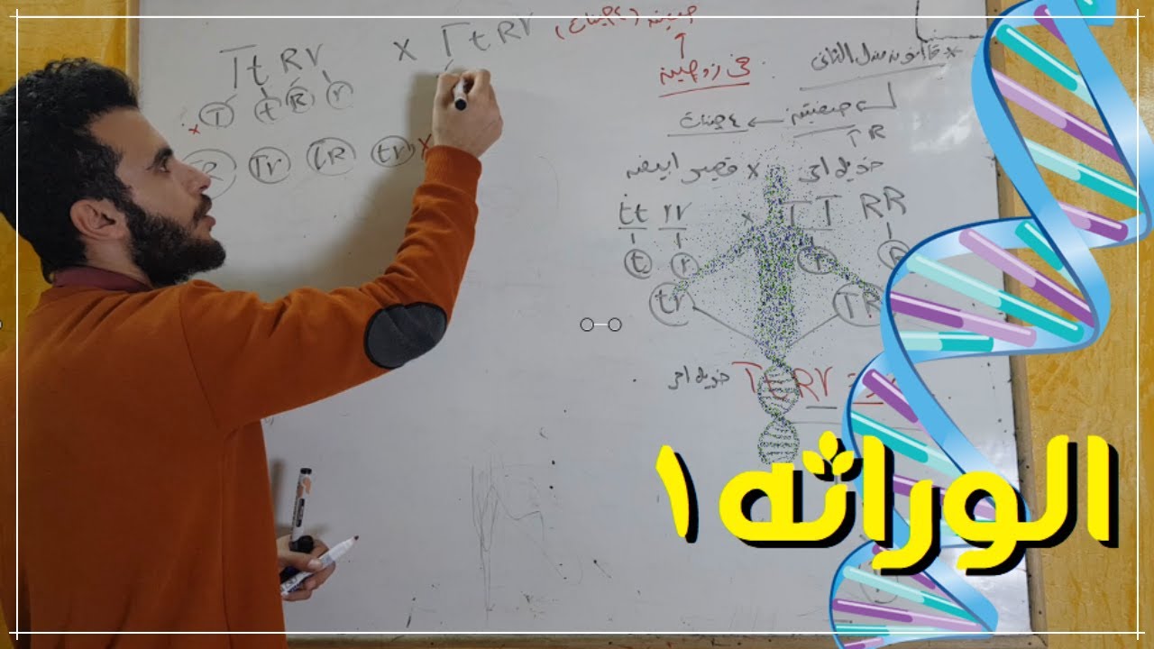 شرح قانون مندل الأول والثاني - أحياء أولى ثانوي