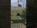 Вийшов погуляти на порт, натрапив на піратів. #rust #rustgame #rustgameplay #playrust #facepunch