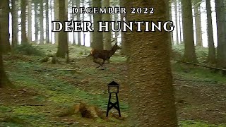 Deer Hunting - December 2022