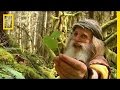 Meet mick dodge  the legend of mick dodge