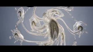 Türkçe Altyazıturkish Suble Bts Wings Short Film Awake