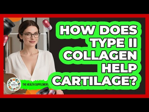 Role Of Collagen In Articular Cartilage