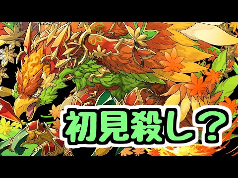 【生放送】新ダンジョンメイフィール降臨がヤバいとの噂【パズドラ】