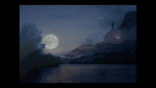 L.V.BEETHOVEN: Moonlight sonata - V. Lisitsa