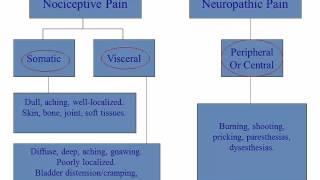 Different types of pain