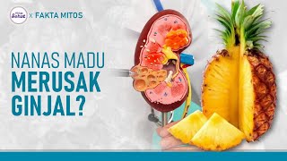 Sering Makan Nanas Madu Bisa Merusak Ginjal, Mitos atau Fakta? | Hidup Sehat tvOne