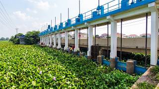Hardest Project and Best Team Work To Save Water Gate