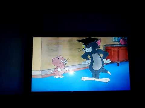 Tom and Jerry Fandubs (Professor Tom)