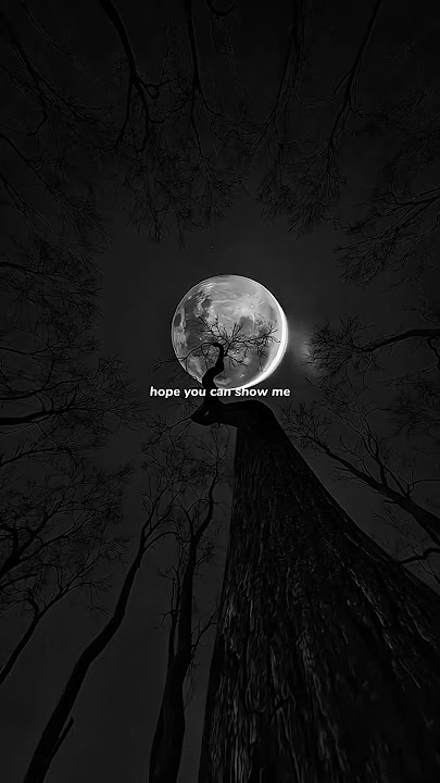 Let Me Down Slowly - Alec Benjamin | lyrics | aesthetic | whatsapp Status | English songs | slowed 💕