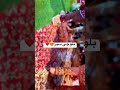 رقص فلم بلوچی سیر آروس بلوشی مبروک شادی مبارک Wedding رقص فلم بلوچی سیر آروس بلوشی مبروک شادی مبارک Wedding