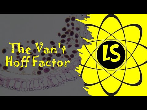 วีดีโอ: ปัจจัย van't Hoff หมายถึงอะไร