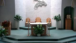 Be the Salt and Light: Practical Love and Discipleship