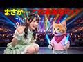 【まさか】トラにゃん、推しのライブで大パニック!?最後にもらった“ほっぺキス”に気絶😱🎤💋🐱💖