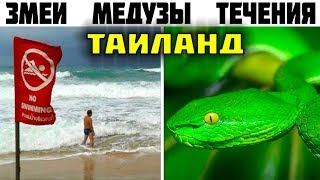 видео: 10 Главных опасностей Таиланда, о которых туристу нужно знать!! картинка: 10 Главных опасностей Таиланда, о которых туристу нужно знать!!