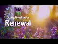 Awaken a Renewal of Energy with this 15 Minute Guided Meditation / Nature's Lessons Series