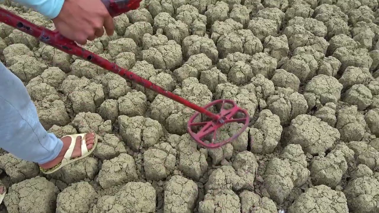 Dwarf family finds antique treasure underground | happy rural life.