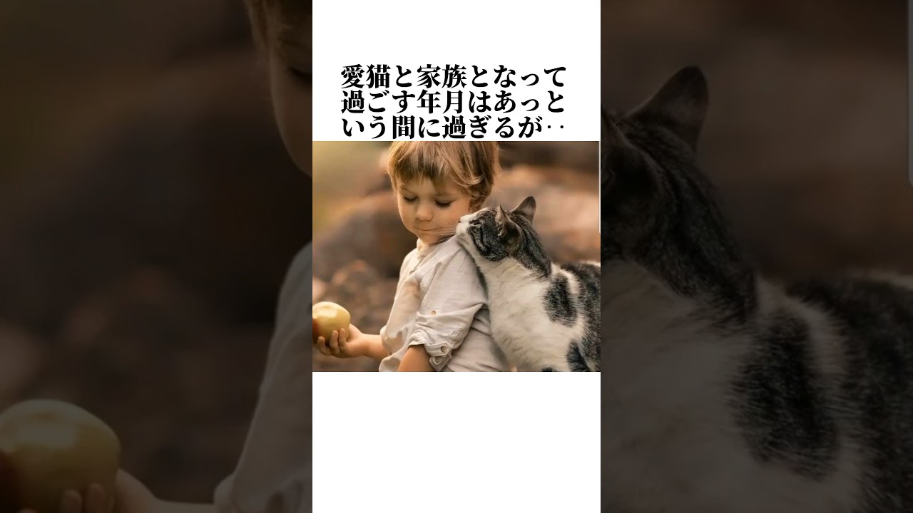 猫のあまり知られていない秘密を暴露！【猫の雑学】猫の秘密7選😭#ねこ #ねこのきもち #ねこ動画