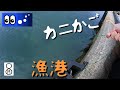 【水辺潜入】漁港の海底、イカと煮干しに何が来る＆自作のカニかご