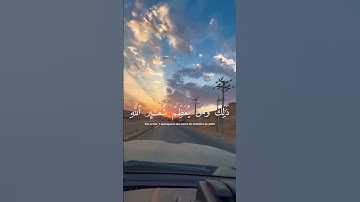 ذلك ومن يعظم شعائر الله فَإِنَّهَا من تقوى القلوب..القاريء: رعد الكردي ،سورة الحج القرآن الكريم 🤍🤍🤍