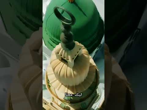 ليتك معنا بدون موسيقى اداء ملاك فتحي     مقاطع  ترند