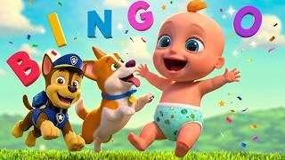 paw patrol adventure bingo song kids song nursery rhymes