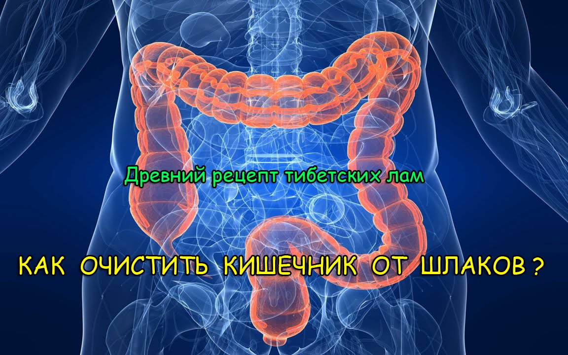 очистка кишечника от паразитов в домашних условиях очистка кишечника от паразитов в домашних условиях